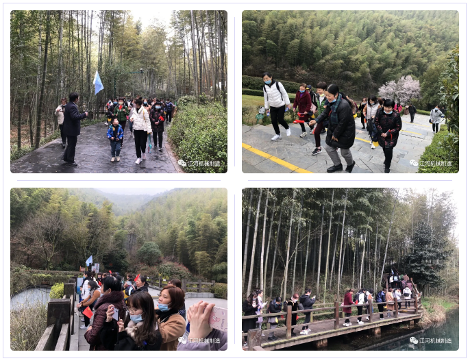 江苏91免费版网站女神节的旅游纪录 江苏91免费版网站女神节的旅游纪录